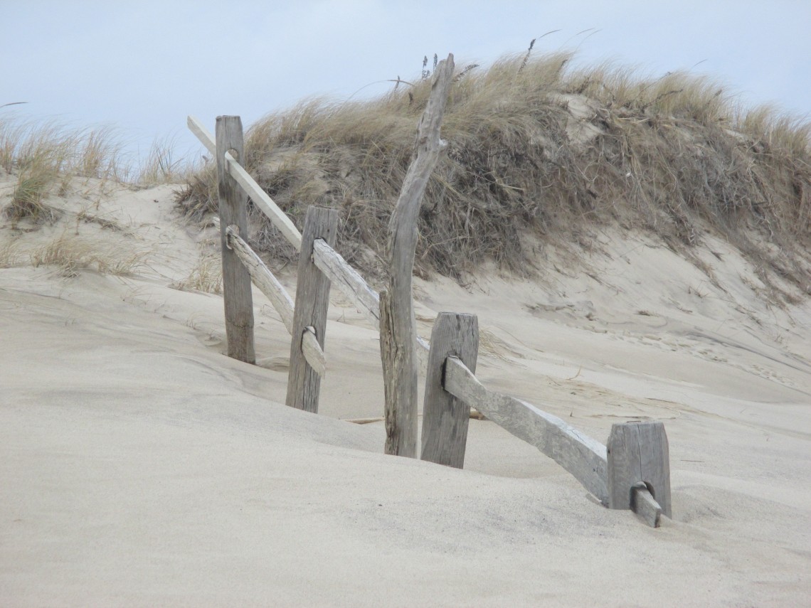 Path To High Head Beach Slideshow Cape Cod Wave