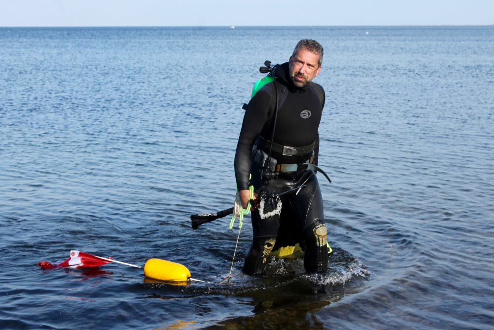 Diving For Dinner Near The Cape Cod Canal - Cape Cod Wave