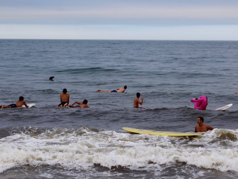 Surfing Dudes & Chicks at Cape Cod Oldtimers Longboard Classic in