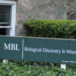 MBL Scientists vote to align with the University of Chicago