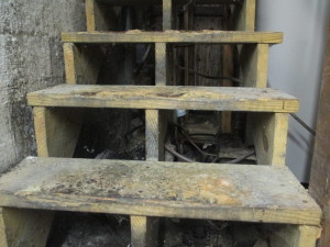 Moldy stairs