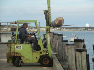 Provincetown Assistant Harbormaster Luis Ribas prepares sent to soon-to-be bumper piling into the water. 