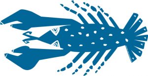 The WMVY Blue Lobster logo.