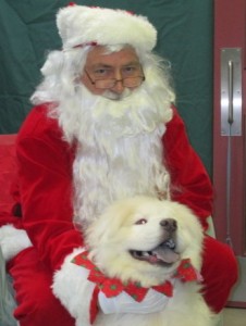 Santa Claus with Frosty the dog