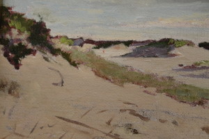 A portion of a sand dune painting by Marguerite Falconer. Her favorite sand dunes to paint are on Sandy Neck in West Barnstable because of the vegetation on the dunes.