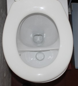 A urine diverting toilet has two sections, one for urine and one for solids. Men have to sit down and aim the urine into the front section.