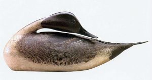 Elmer Crowell Pintail