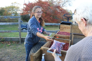 Lindsay Leboeuf sells some fresh cranberries at the end of October.