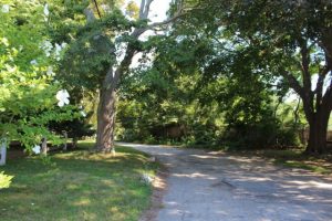 Lantern Lane winds through a small tree-lined neighborhood of split rail fences and modest Cape's behind the property for the proposed Marriott.
