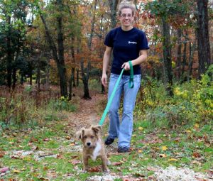 Bentley, an active puppy, gives a workout to Kate Cerveiro on a recent walk.