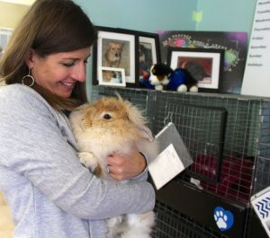 Mary Sarah Fairweather holds Seaweed, one of six angora bunnies the facility has up for adoption.