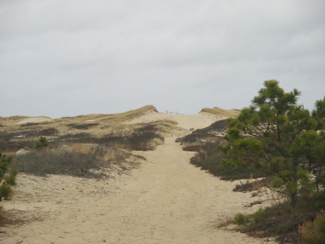 Path To High Head Beach Slideshow Cape Cod Wave
