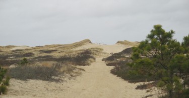 Path To High Head Beach