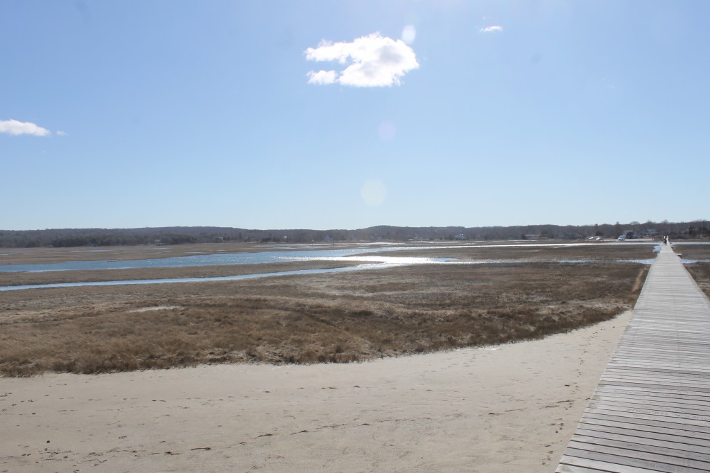 homes for sale town neck sandwich ma