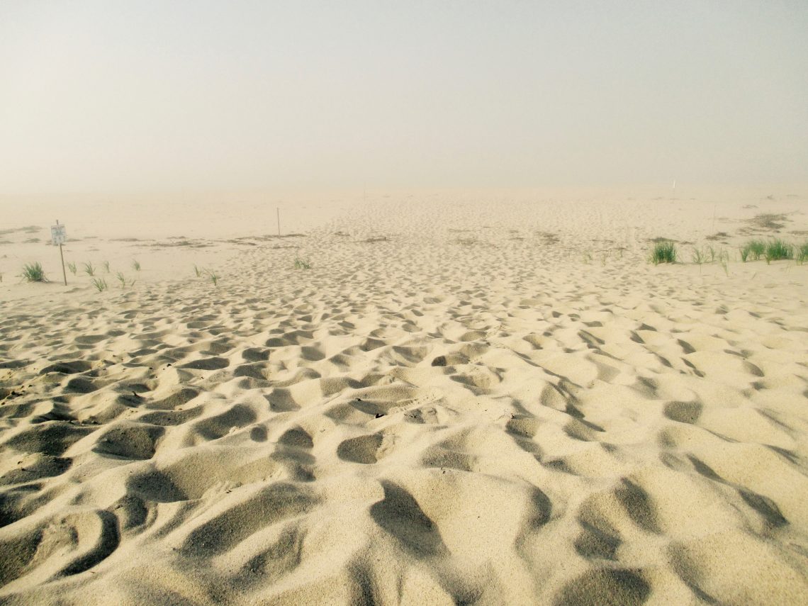 High Head Beach Fog & Sun Slideshow Cape Cod Wave