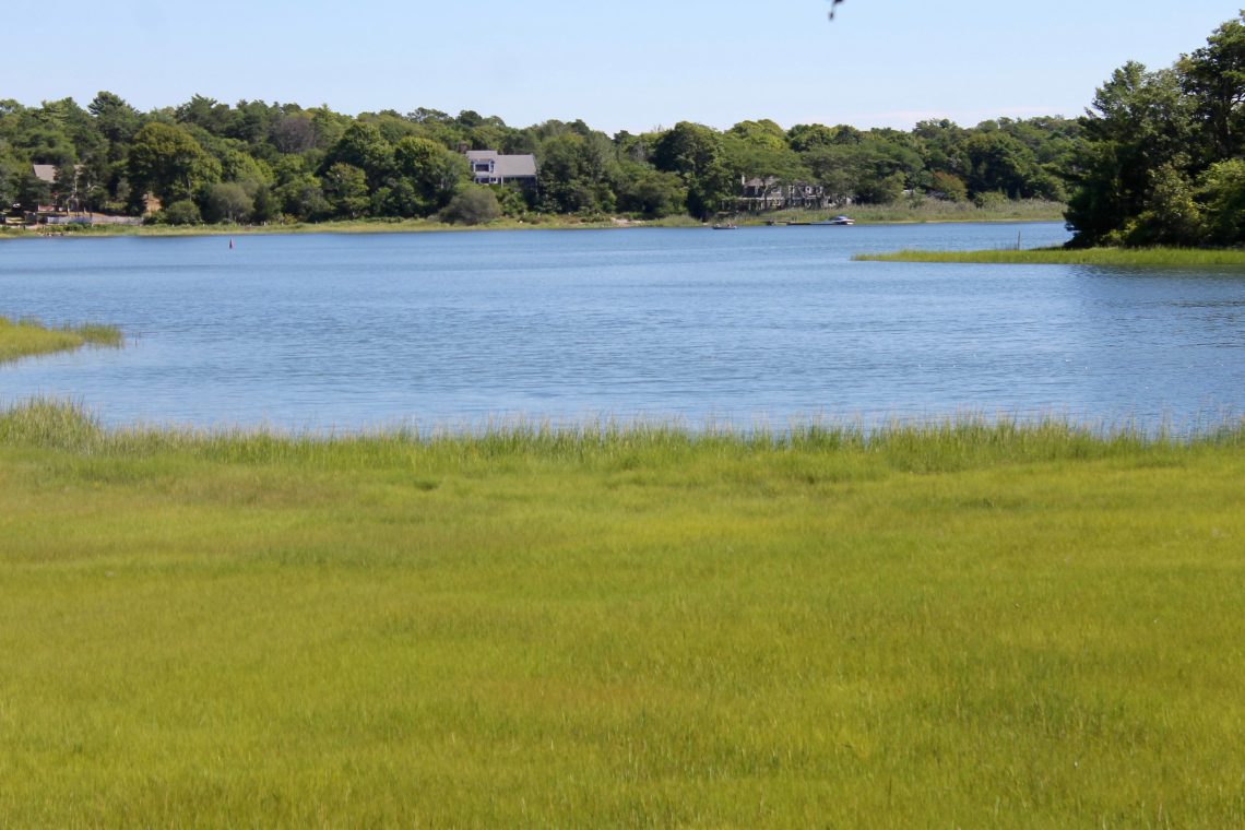 buttermilk-bay-little-buttermilk-bay-slideshow-cape-cod-wave