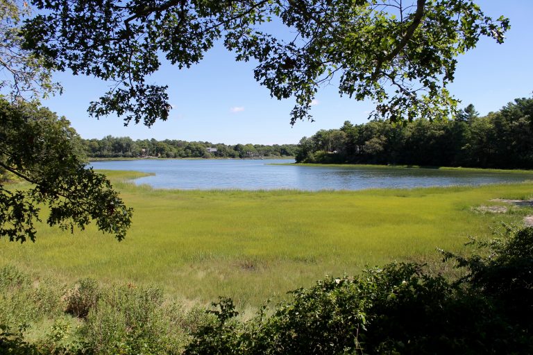 buttermilk-bay-little-buttermilk-bay-slideshow-cape-cod-wave