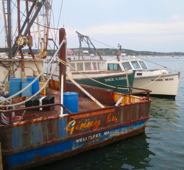 Working Boats — Wellfleet’s Fleet, Slideshow Cape Cod Wave