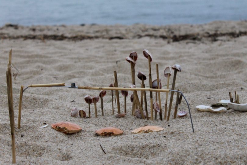 Beach Sculpture