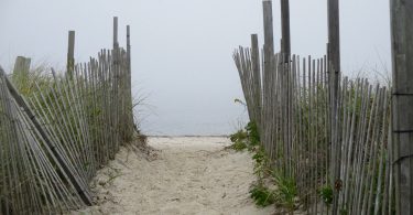 Foggy Path To The Sea