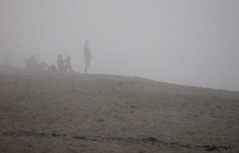 Race Point Fog & Seals