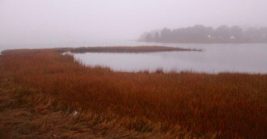 Foggy Bournes Pond