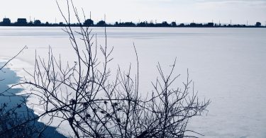 Salt Pond Ice Shapes