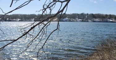 Long Pond Conservation Area, Barnstable