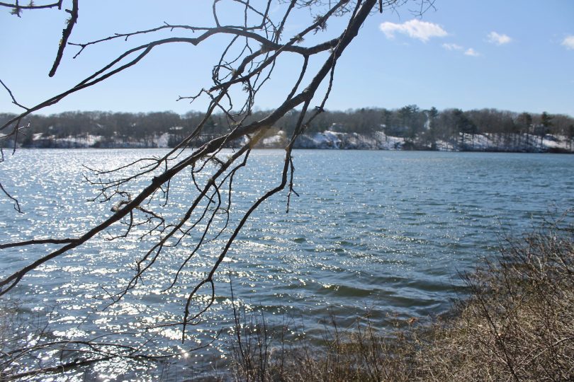 Long Pond Conservation Area, Barnstable