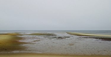 Low Tide Fog Provincetown