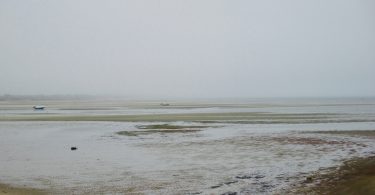 Low Tide Fog Provincetown