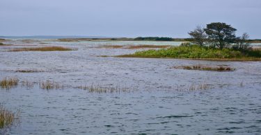 High Tide Great Sippewissett Marsh
