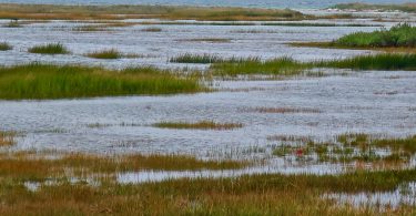 High Tide Great Sippewissett Marsh