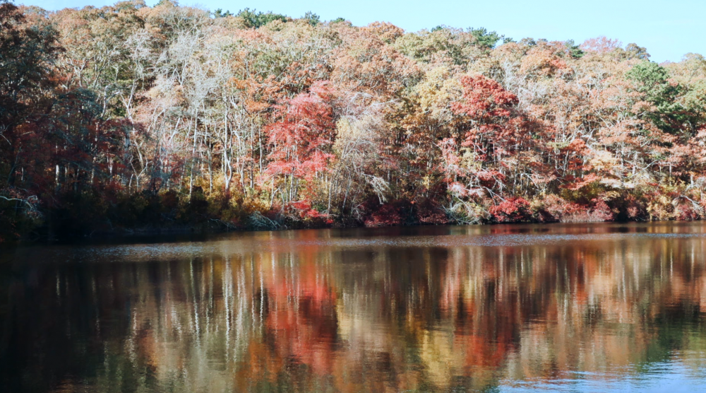 Peak Foliage Beebe Woods To The Punch Bowl, VIDEO + Music By Chandler Travis Cape Cod Wave