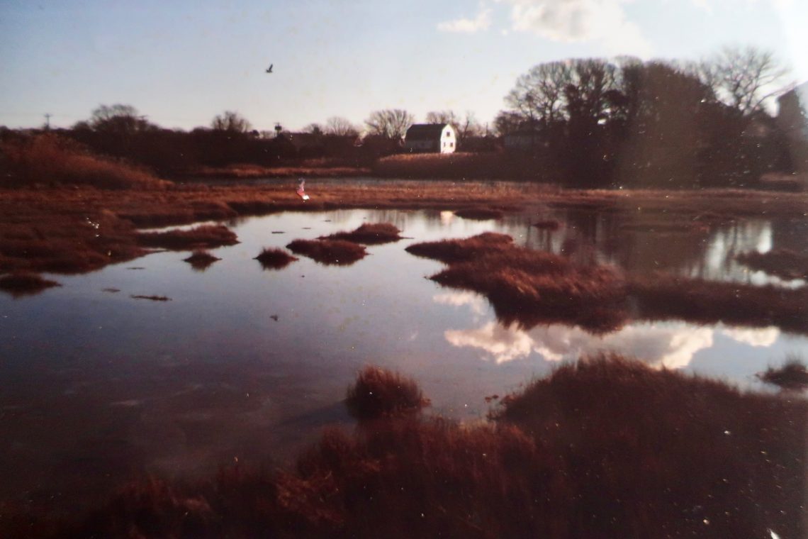 Stop the madness meme picture