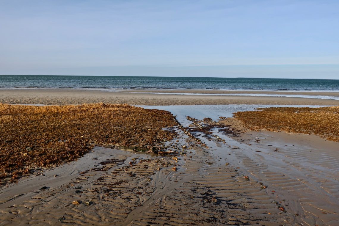 Ellis Landing, Brewster Slideshow Cape Cod Wave