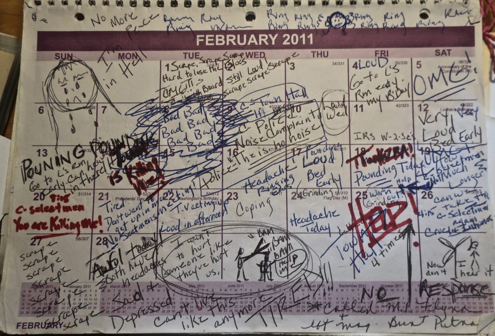 Betsy Andersen's daily log, February 2011