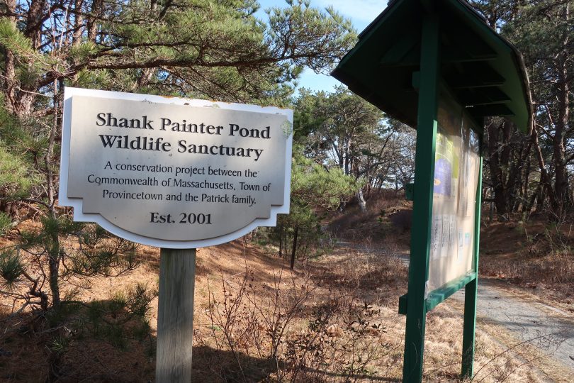 Shank Painter Pond