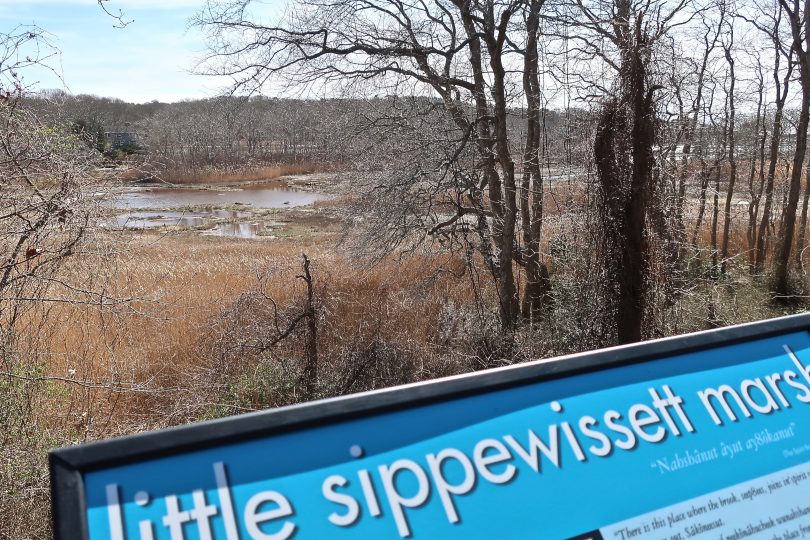 Little Sippewissett Marsh