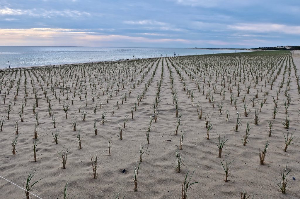 New Herring Cove Beach Parking Lot Slideshow Cape Cod Wave