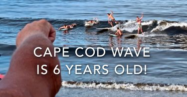 Cape Cod Wave is 6 years old