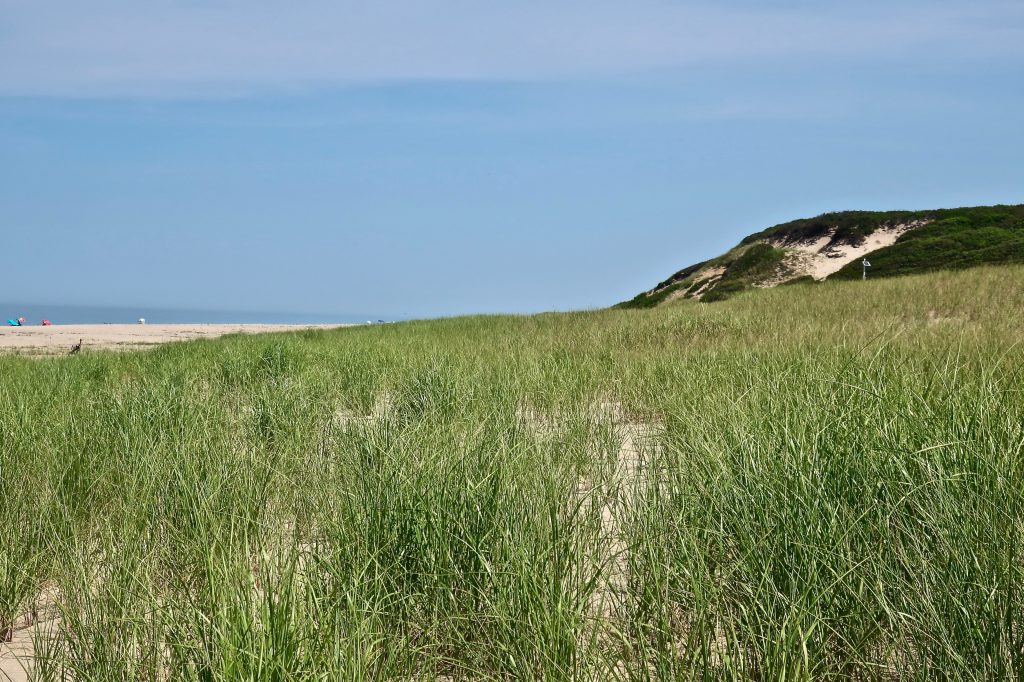 Hot Day At Head Of The Meadow Beach Slideshow Cape Cod Wave