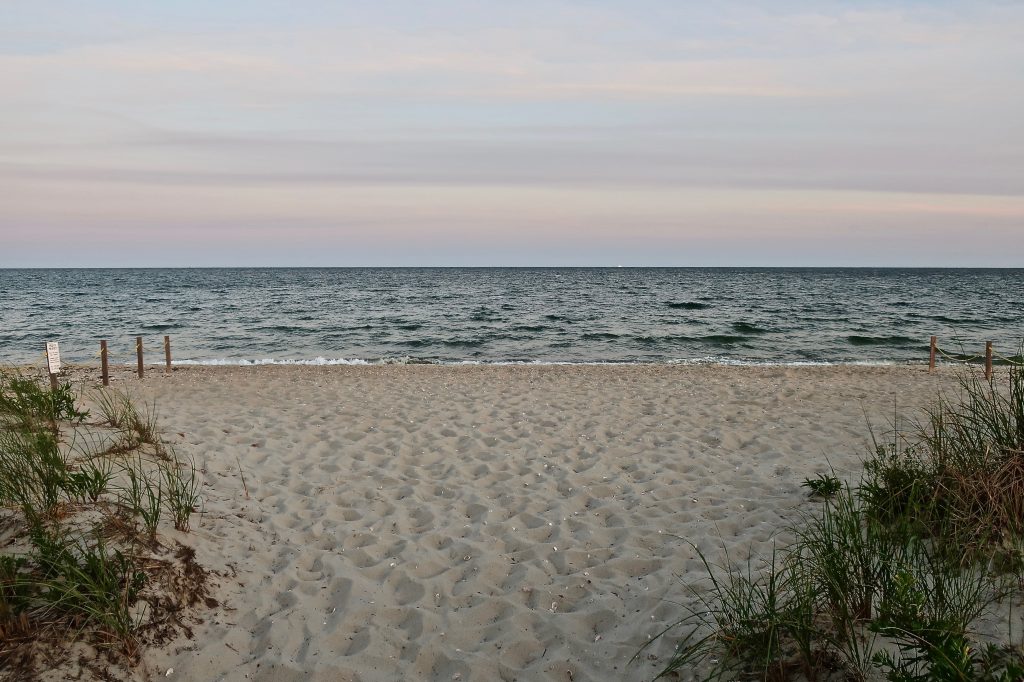 Long Beach & The Centerville River – Slide Show - Cape Cod Wave