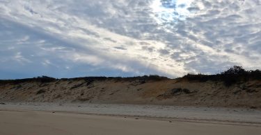 Solitude At Newcomb Hollow Beach