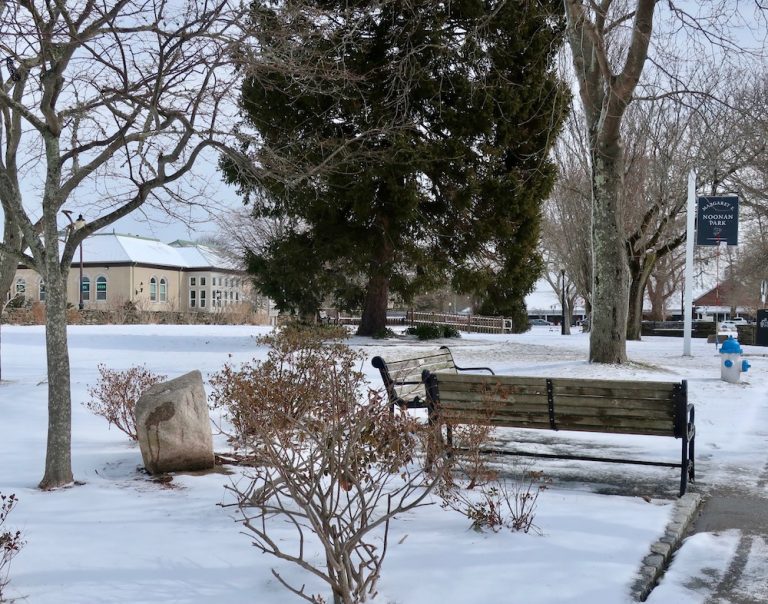 March Snow, Falmouth Slideshow Cape Cod Wave