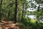 Barclay's Pond Trail, Chatham