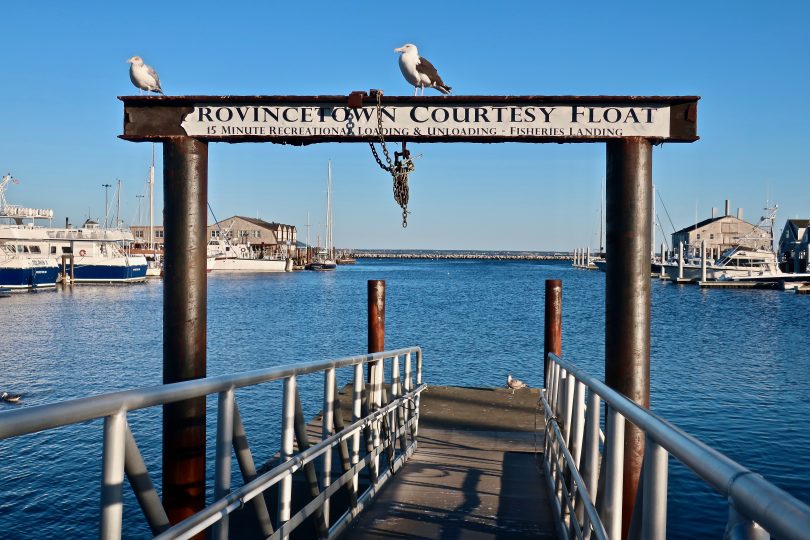 Provincetown Courtesy Float