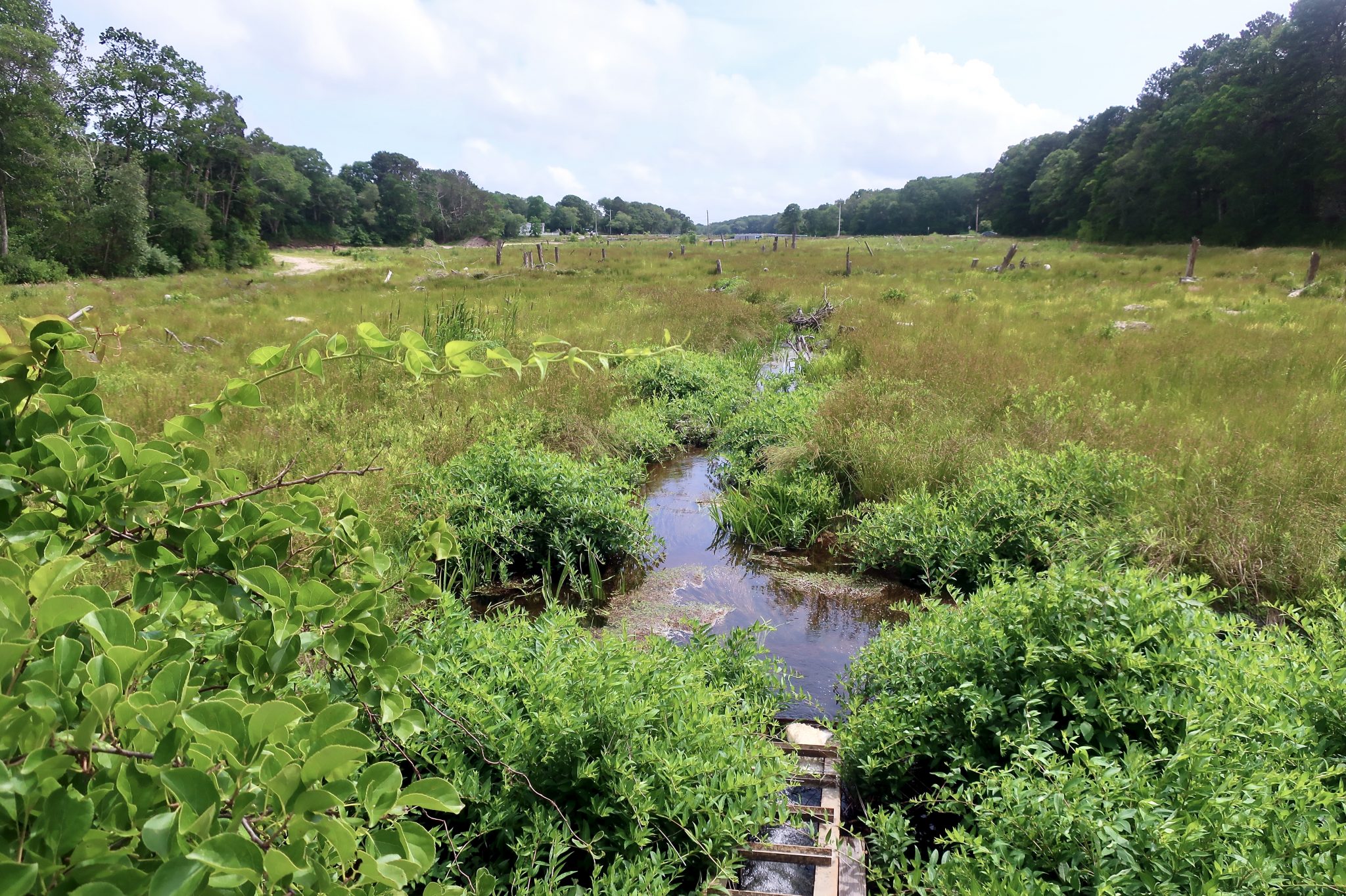 Lower Coonamessett River Conservation Lands, Falmouth – Slideshow ...