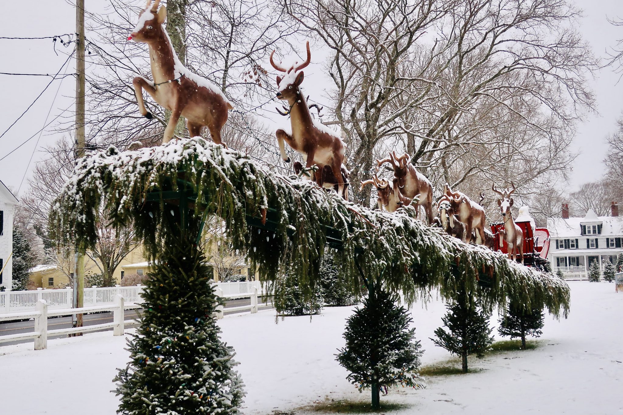 A Very Merry Christmas to You, from Cape Cod Wave Cape Cod Wave