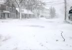 Blizzard, January 29, 2022 Falmouth